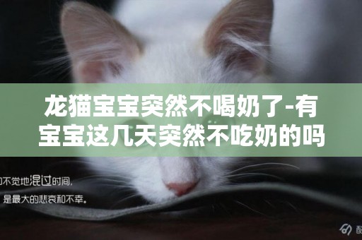 龍貓寶寶突然不喝奶了-有寶寶這幾天突然不吃奶的嗎