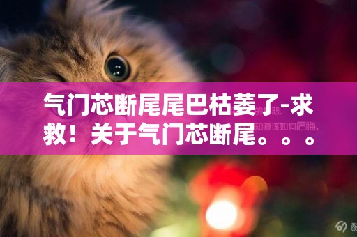 氣門芯斷尾尾巴枯萎了-求救！關于氣門芯斷尾。。。