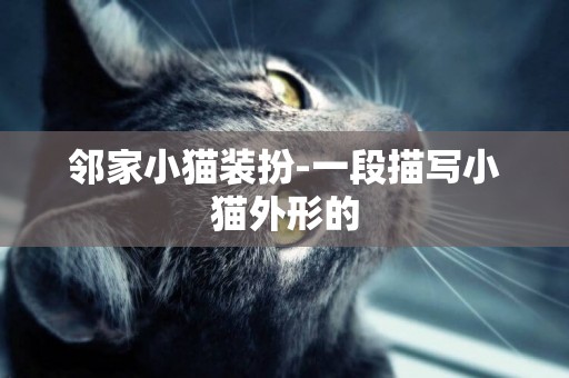 鄰家小貓裝扮-一段描寫小貓外形的