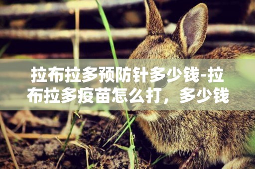 拉布拉多預防針多少錢-拉布拉多疫苗怎么打，多少錢