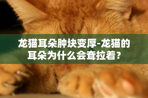 龍貓耳朵腫塊變厚-龍貓的耳朵為什么會耷拉著? 龍貓耳朵腫塊變厚-龍貓的耳朵為什么會耷拉著?