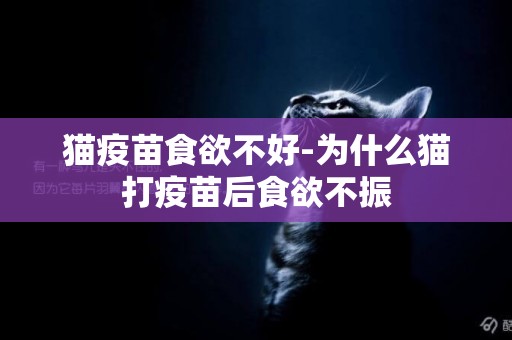 貓疫苗食欲不好-為什么貓打疫苗后食欲不振