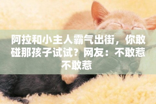 阿拉和小主人霸氣出街，你敢碰那孩子試試？網友：不敢惹不敢惹 