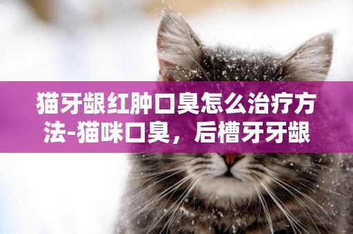 貓牙齦紅腫口臭怎么治療方法-貓咪口臭，后槽牙牙齦紅怎么辦