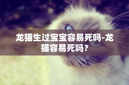 龍貓生過寶寶容易死嗎-龍貓容易死嗎？