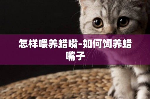 怎樣喂養蠟嘴-如何飼養蠟嘴子