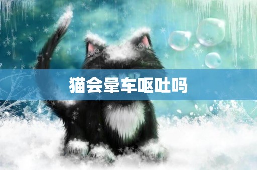 貓會暈車嘔吐嗎