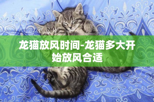 龍貓放風時間-龍貓多大開始放風合適
