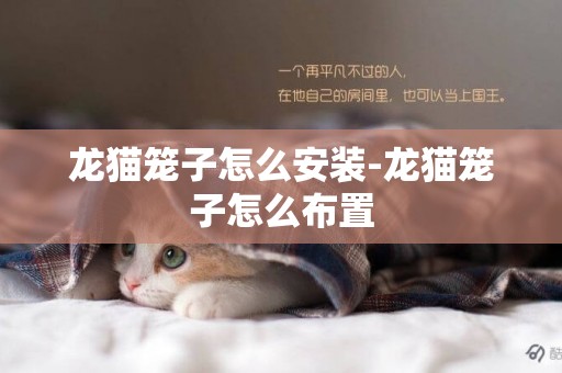 龍貓籠子怎么安裝-龍貓籠子怎么布置