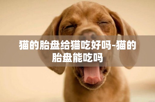 貓的胎盤給貓吃好嗎-貓的胎盤能吃嗎