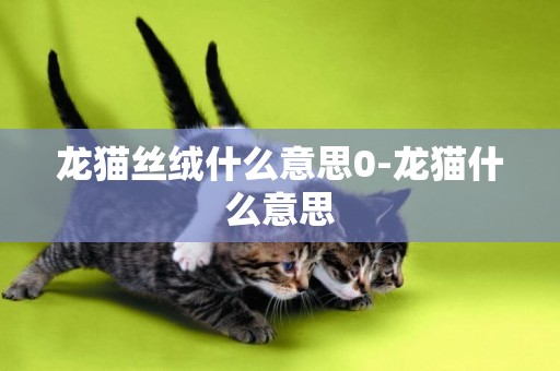 龍貓絲絨什么意思0-龍貓什么意思