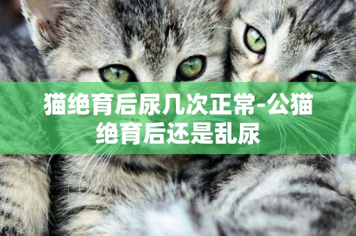 貓絕育后尿幾次正常-公貓絕育后還是亂尿
