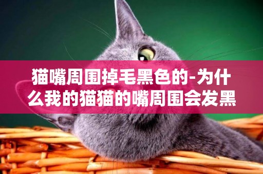 貓嘴周圍掉毛黑色的-為什么我的貓貓的嘴周圍會發黑的呀？