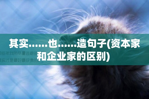其實......也......造句子(資本家和企業家的區別) 
