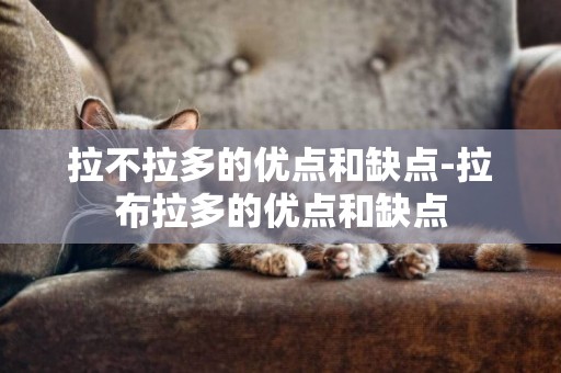 拉不拉多的優點和缺點-拉布拉多的優點和缺點