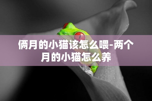 倆月的小貓該怎么喂-兩個月的小貓怎么養