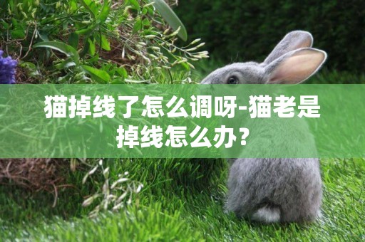 貓掉線了怎么調呀-貓老是掉線怎么辦？