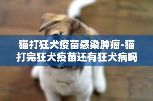 貓打狂犬疫苗感染腫瘤-貓打完狂犬疫苗還有狂犬病嗎?