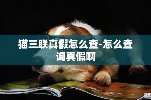 貓三聯真假怎么查-怎么查詢真假啊