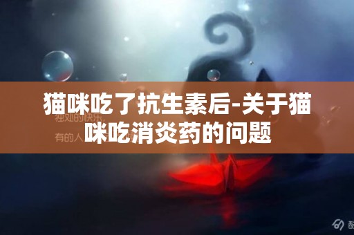 貓咪吃了抗生素后-關于貓咪吃消炎藥的問題