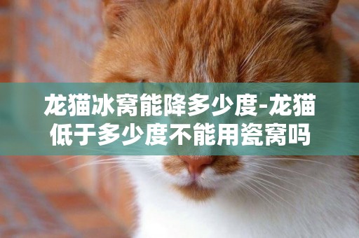 龍貓冰窩能降多少度-龍貓低于多少度不能用瓷窩嗎