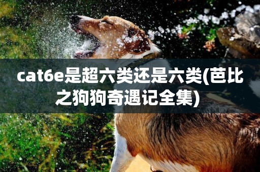 cat6e是超六類還是六類(芭比之狗狗奇遇記全集) 