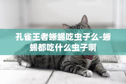 孔雀王者蜥蜴吃蟲子么-蜥蜴都吃什么蟲子啊