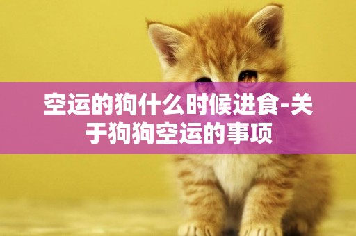空運的狗什么時候進食-關于狗狗空運的事項