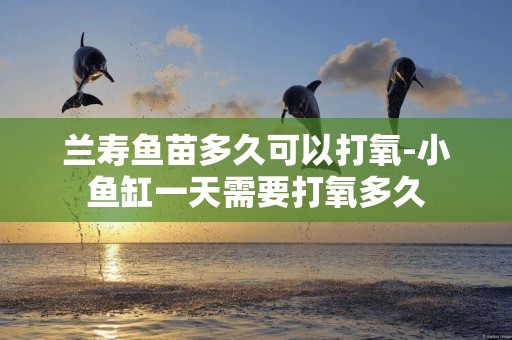 蘭壽魚苗多久可以打氧-小魚缸一天需要打氧多久