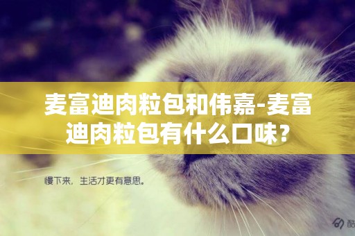 麥富迪肉粒包和偉嘉-麥富迪肉粒包有什么口味？