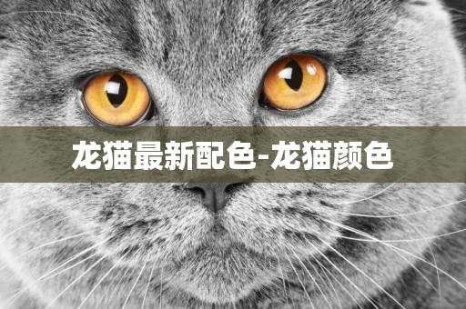 龍貓最新配色-龍貓顏色