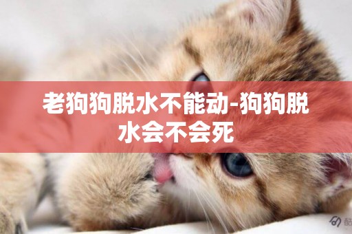 老狗狗脫水不能動-狗狗脫水會不會死