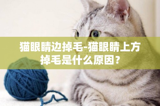 貓眼睛邊掉毛-貓眼睛上方掉毛是什么原因？