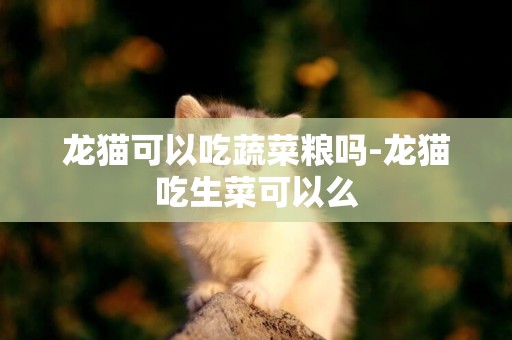龍貓可以吃蔬菜糧嗎-龍貓吃生菜可以么