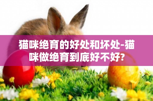 貓咪絕育的好處和壞處-貓咪做絕育到底好不好?