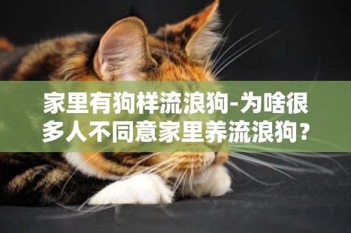 家里有狗樣流浪狗-為啥很多人不同意家里養流浪狗？