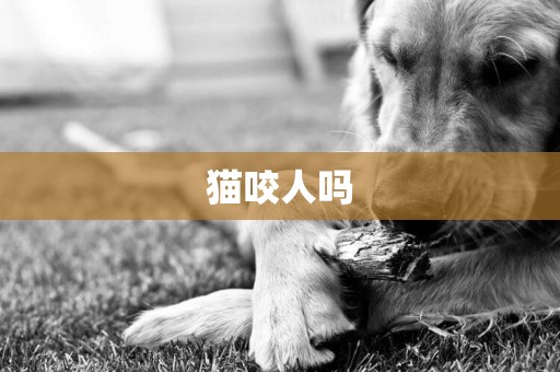 貓咬人嗎