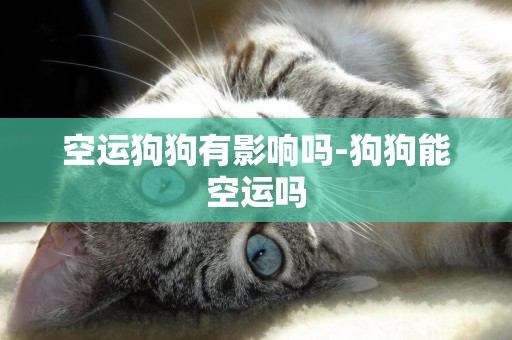 空運狗狗有影響嗎-狗狗能空運嗎