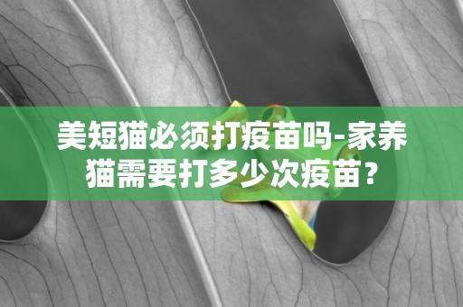 美短貓必須打疫苗嗎-家養貓需要打多少次疫苗？