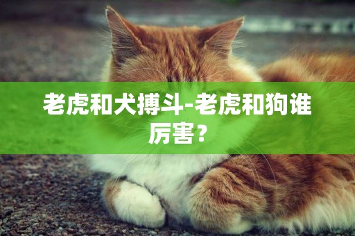 老虎和犬搏斗-老虎和狗誰厲害？