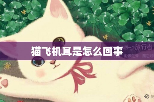 貓飛機耳是怎么回事