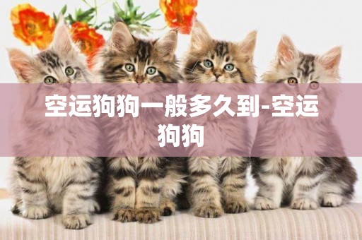 空運狗狗一般多久到-空運狗狗