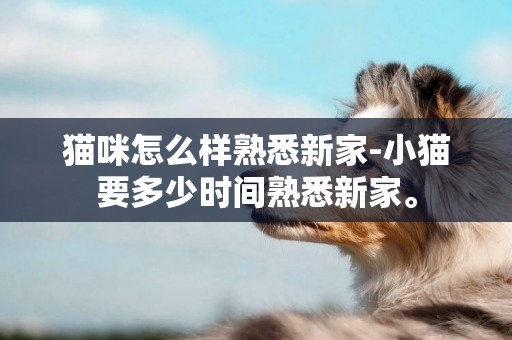 貓咪怎么樣熟悉新家-小貓要多少時間熟悉新家。