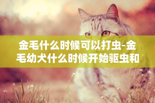 金毛什么時候可以打蟲-金毛幼犬什么時候開始驅蟲和打疫苗