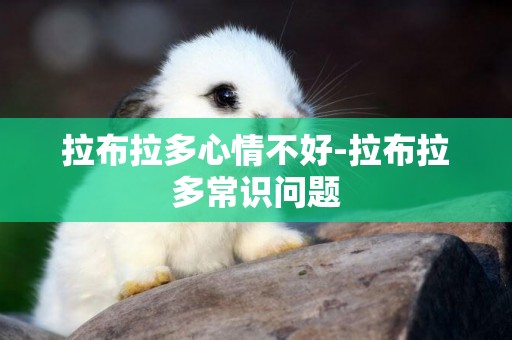 拉布拉多心情不好-拉布拉多常識問題