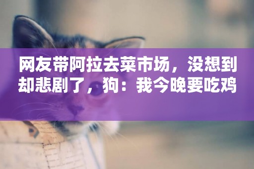 網友帶阿拉去菜市場，沒想到卻悲劇了，狗：我今晚要吃雞 