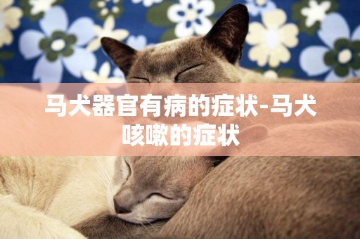 馬犬器官有病的癥狀-馬犬咳嗽的癥狀