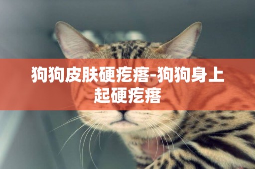 狗狗皮膚硬疙瘩-狗狗身上起硬疙瘩