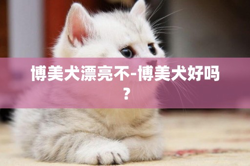 博美犬漂亮不-博美犬好嗎？