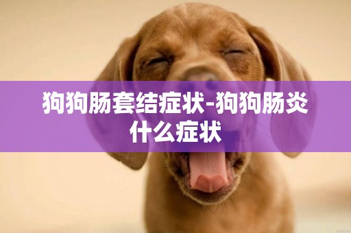 狗狗腸套結癥狀-狗狗腸炎什么癥狀